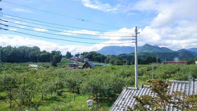 農地取得の下限面積要件の撤廃で農地は購入しやすくなる?